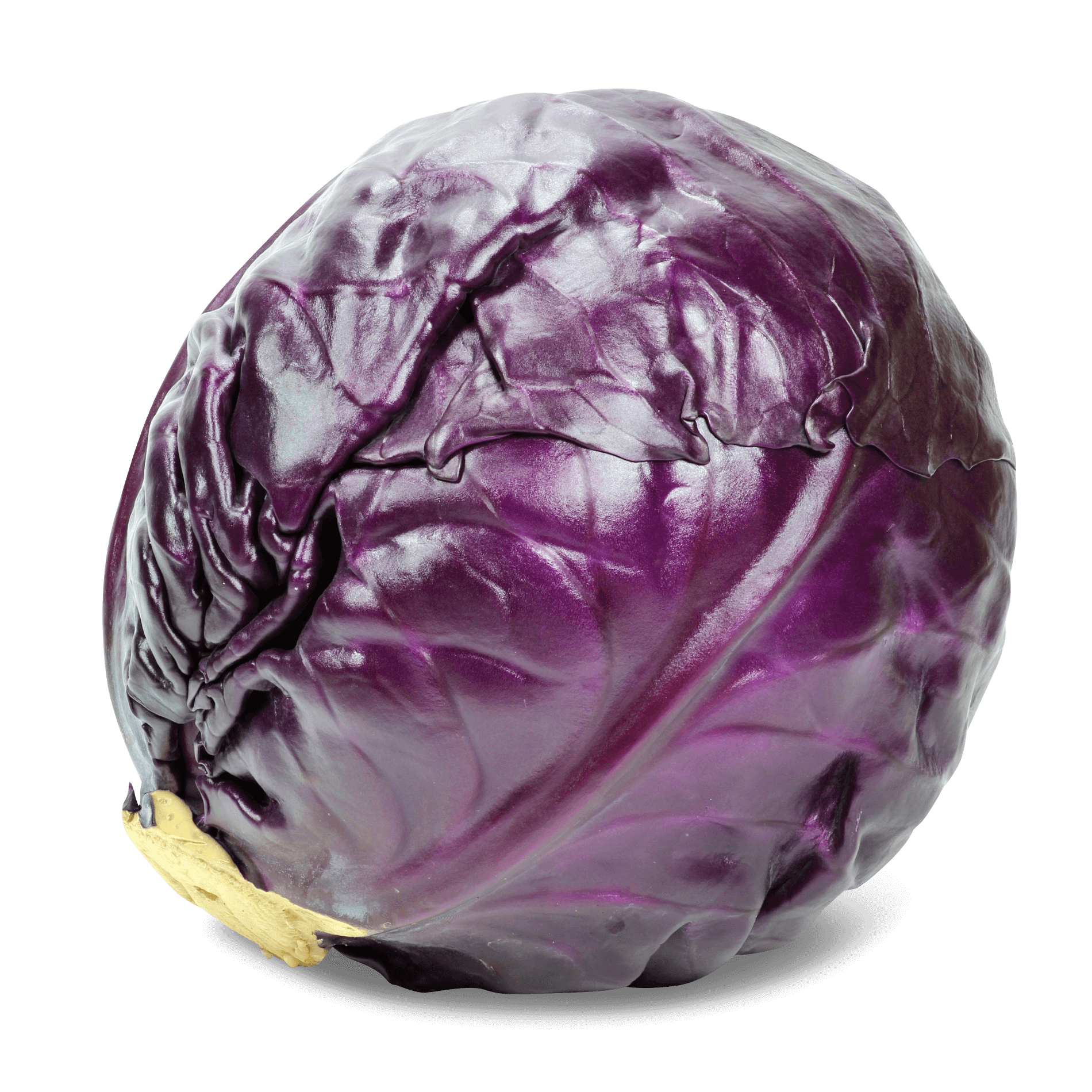 Rotkohl