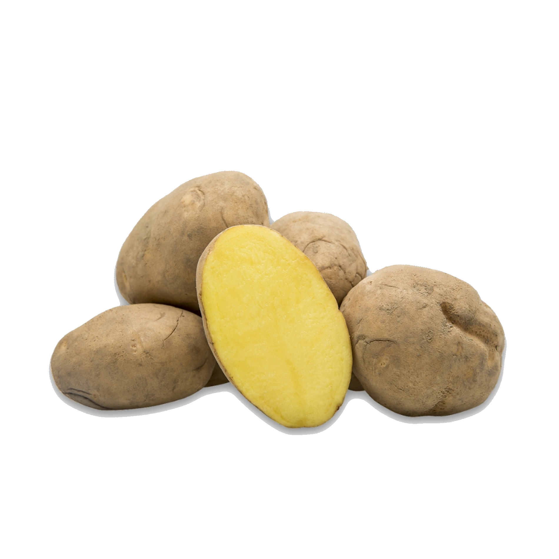 Kartoffel 'Afra' (mehligkochend)