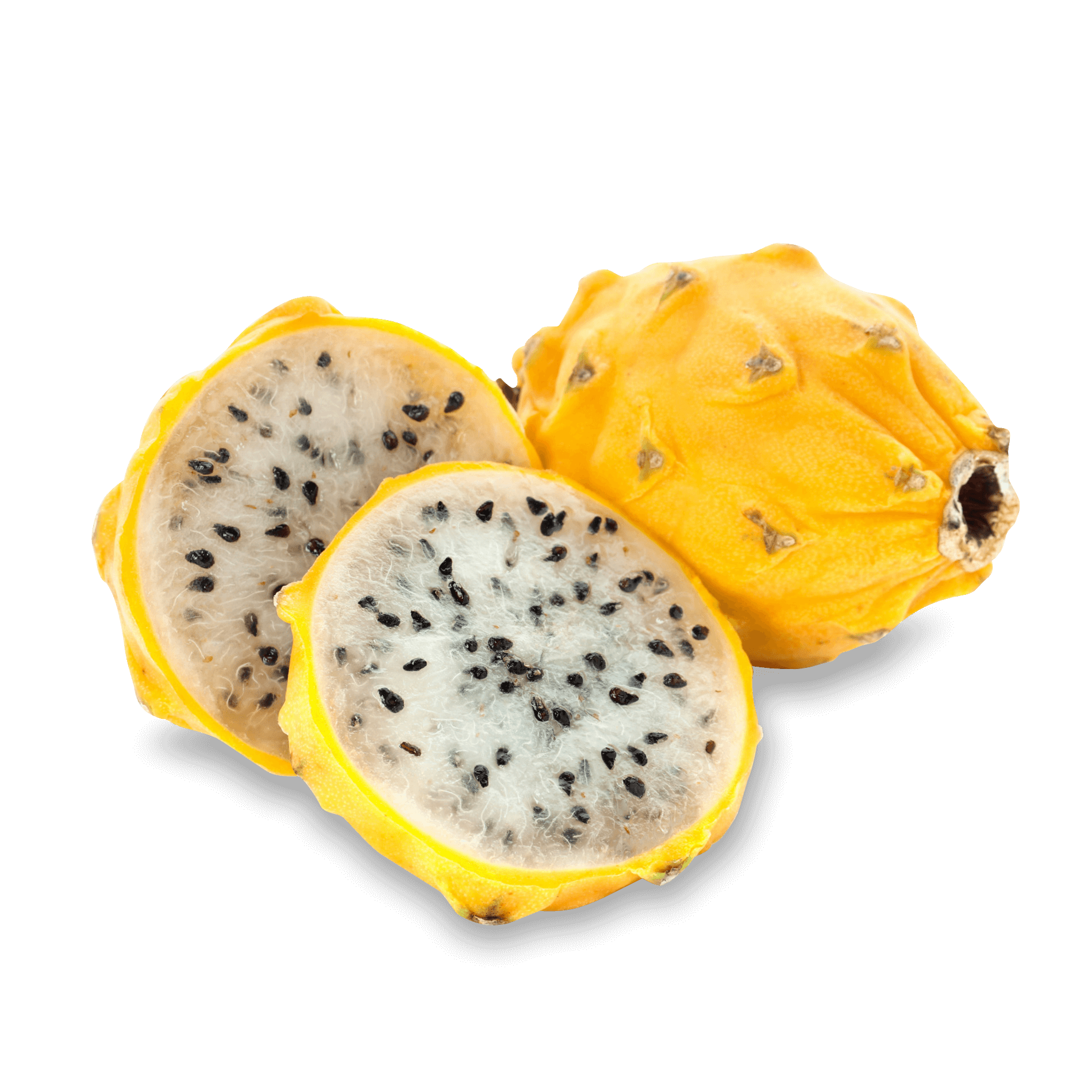 Pitahaya 'gelb-weiß'
