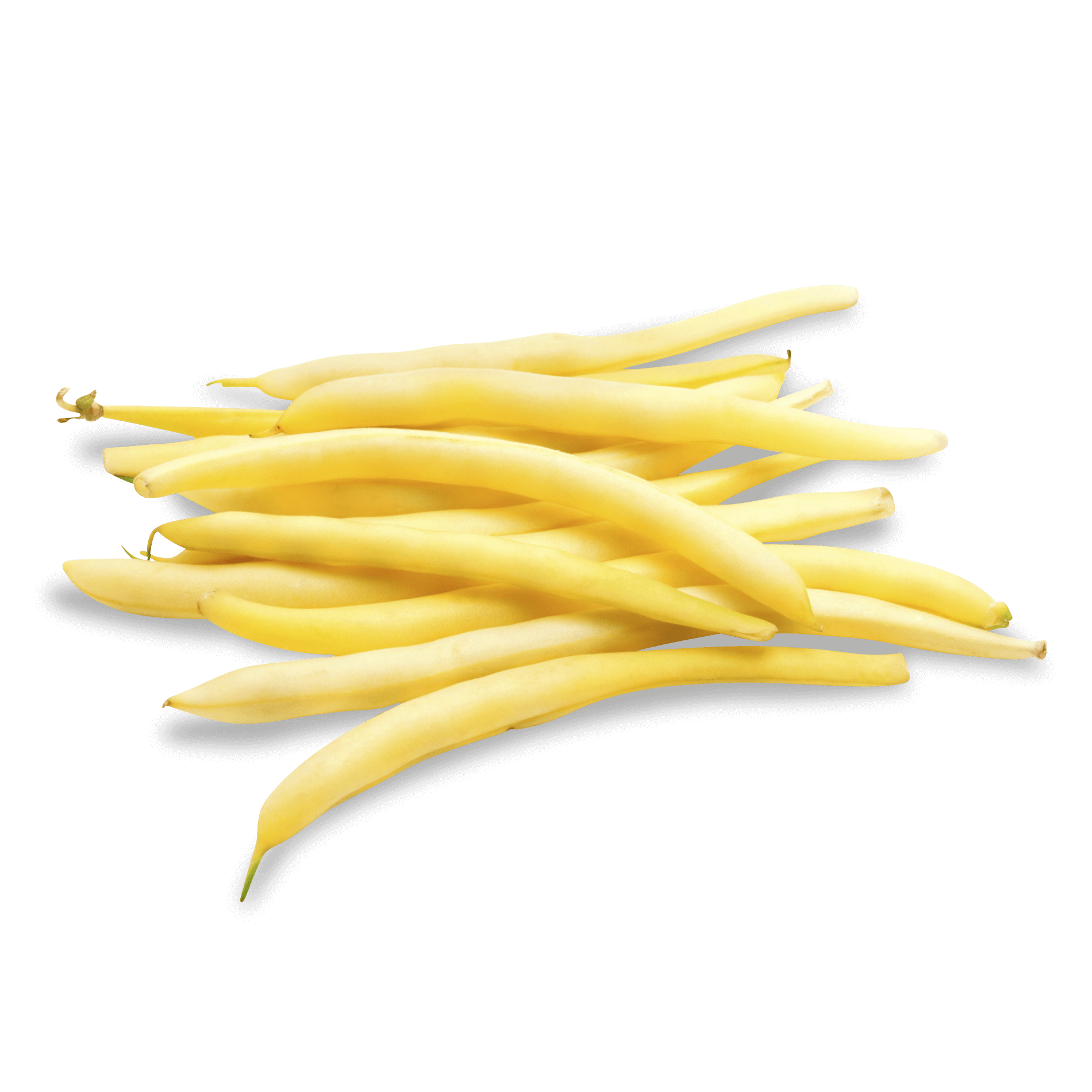 Wachsbohnen