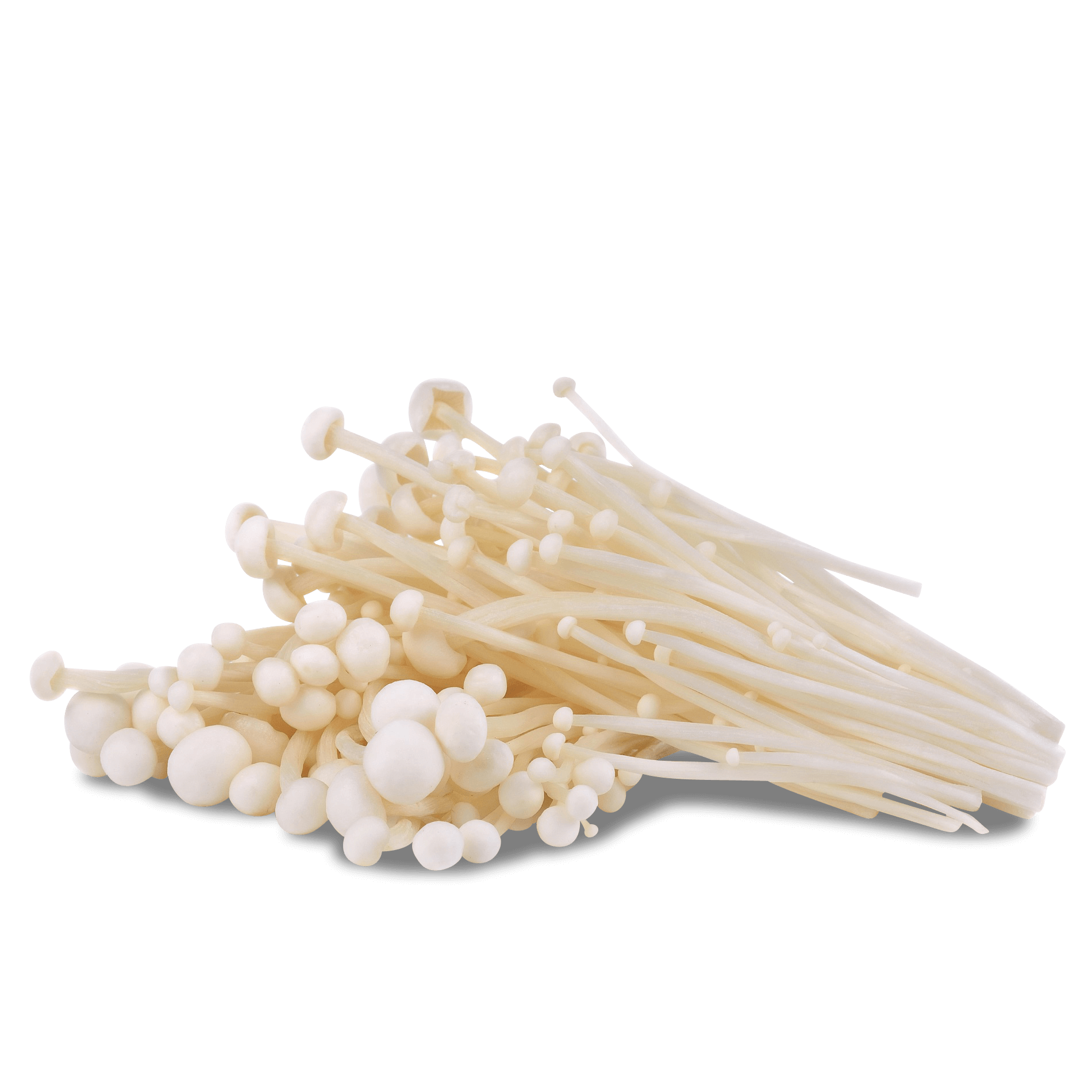 Pilze 'Enoki'