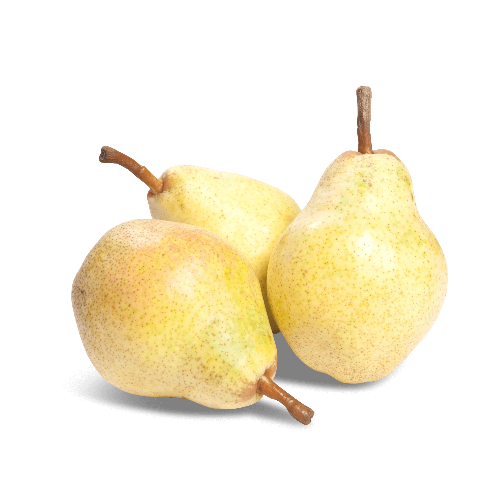 Birne 'Williams Christ'