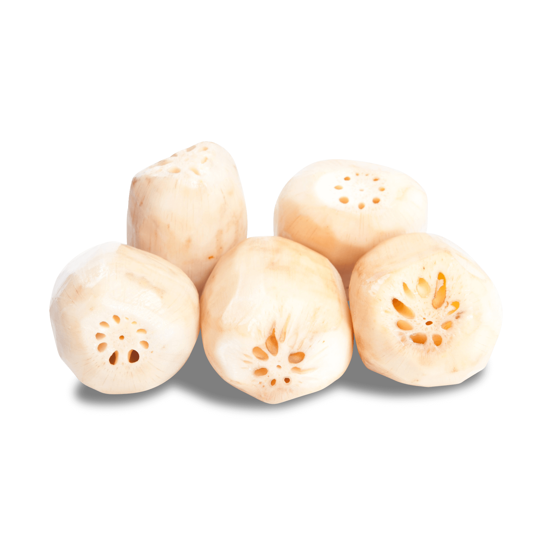 Lotuswurzeln 'frisch'