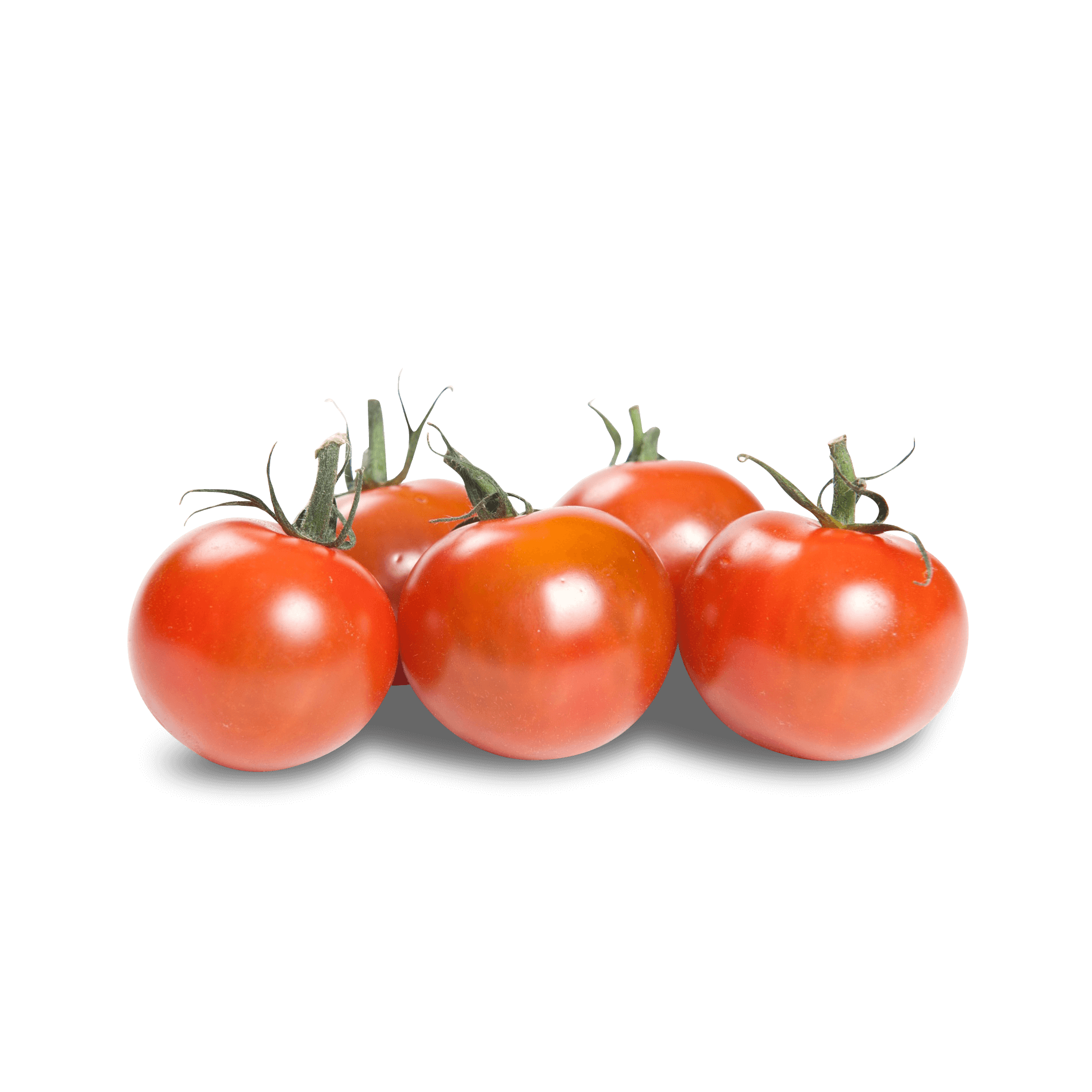 Tomaten 'Rote Cherry in der Schale'