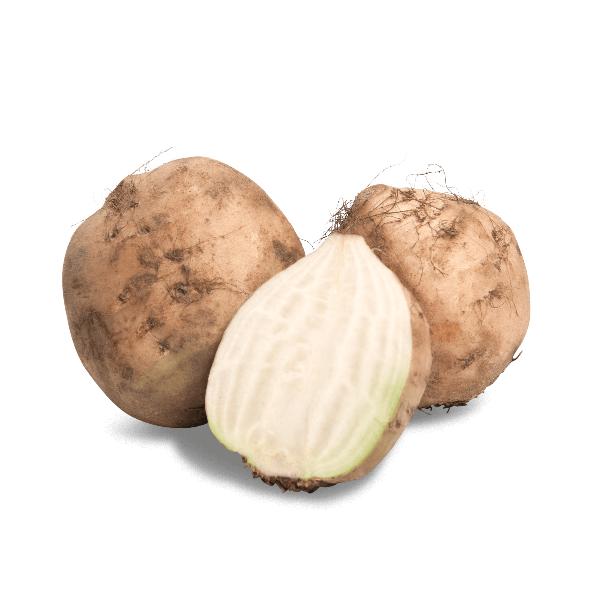 Bete 'weißfleischig'