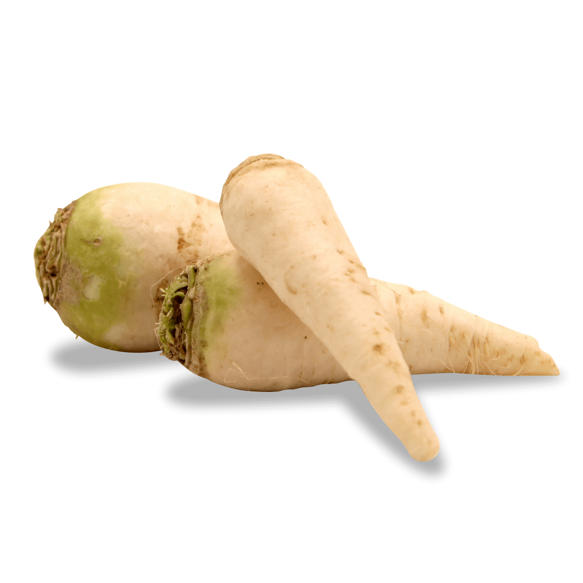 Rüben 'Teltower Art'