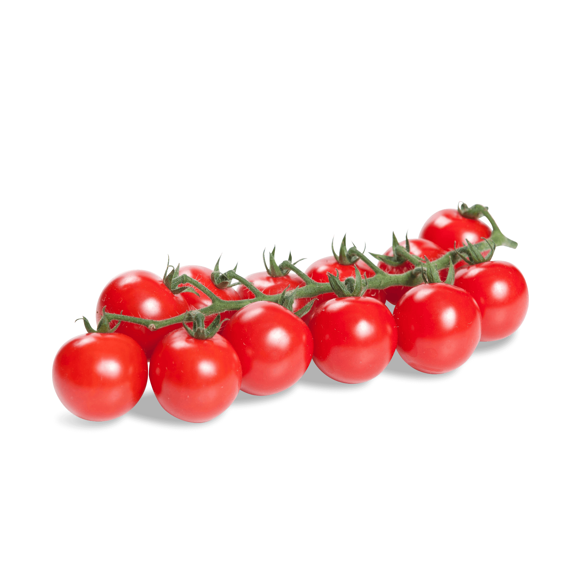 Tomaten 'Cherry Amor am Strauch'
