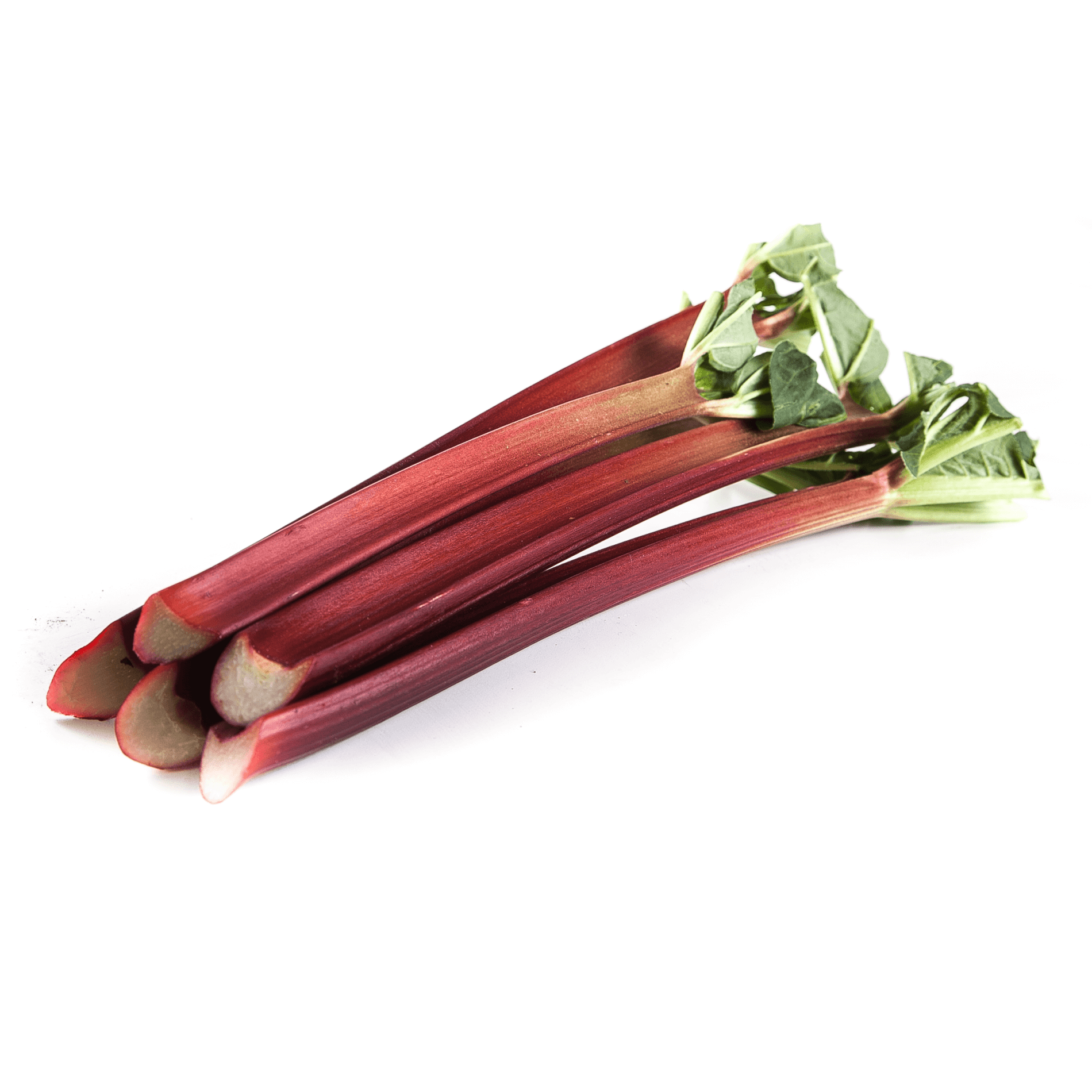 Blut-Rhabarber, kurz