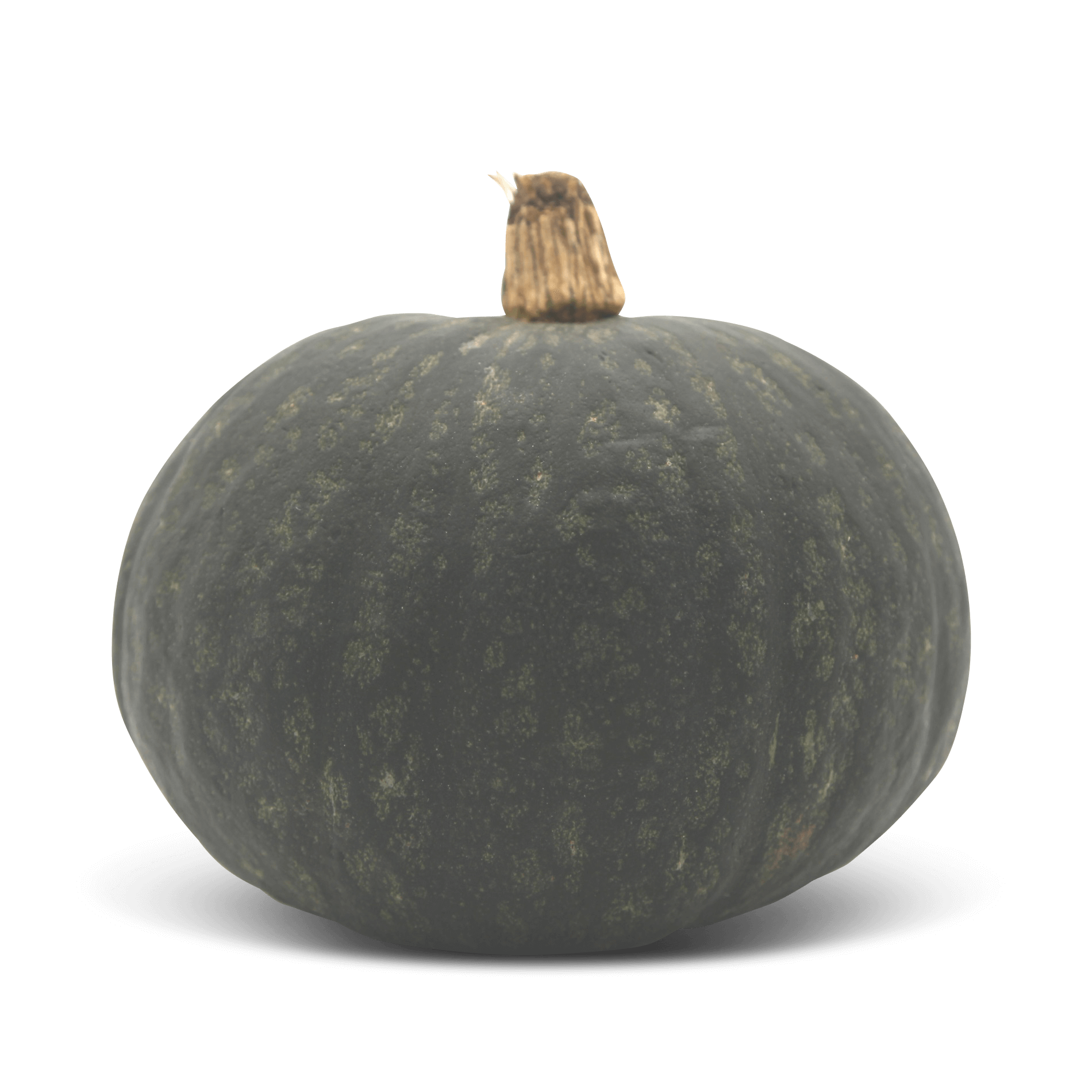 Kürbis Hokkaido Grün (Sweet Mama)