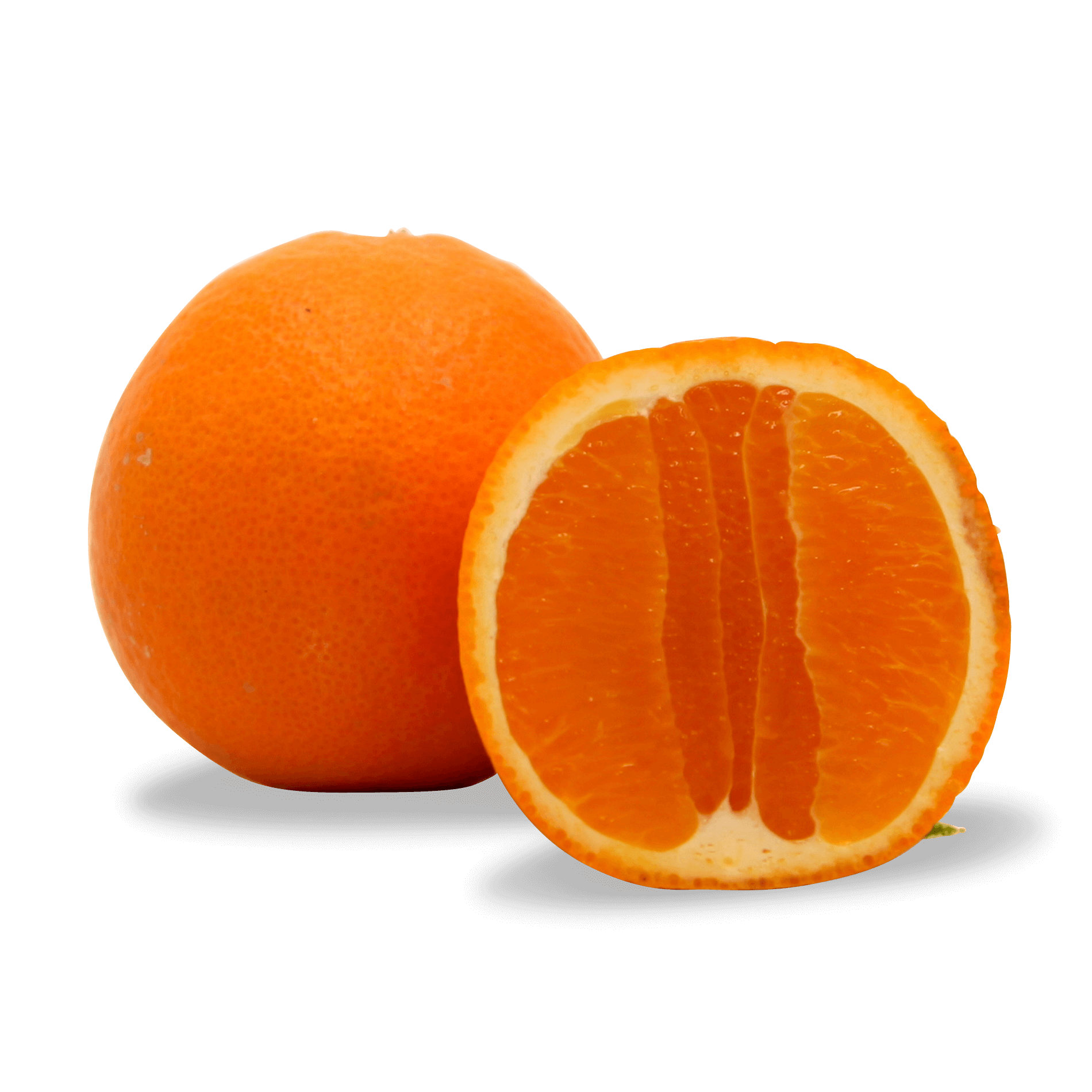 Bio Saftorange