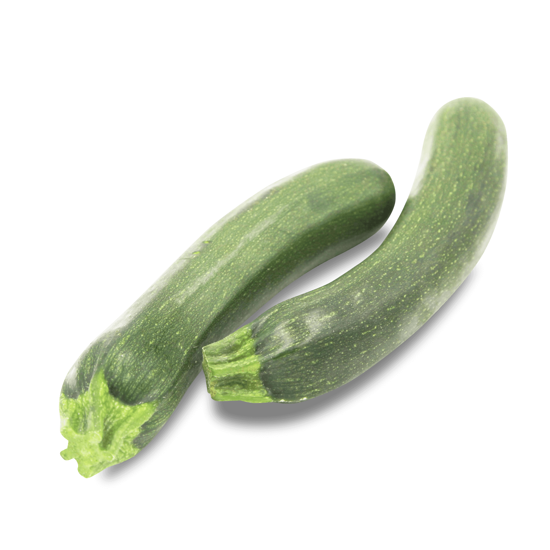 Zucchini