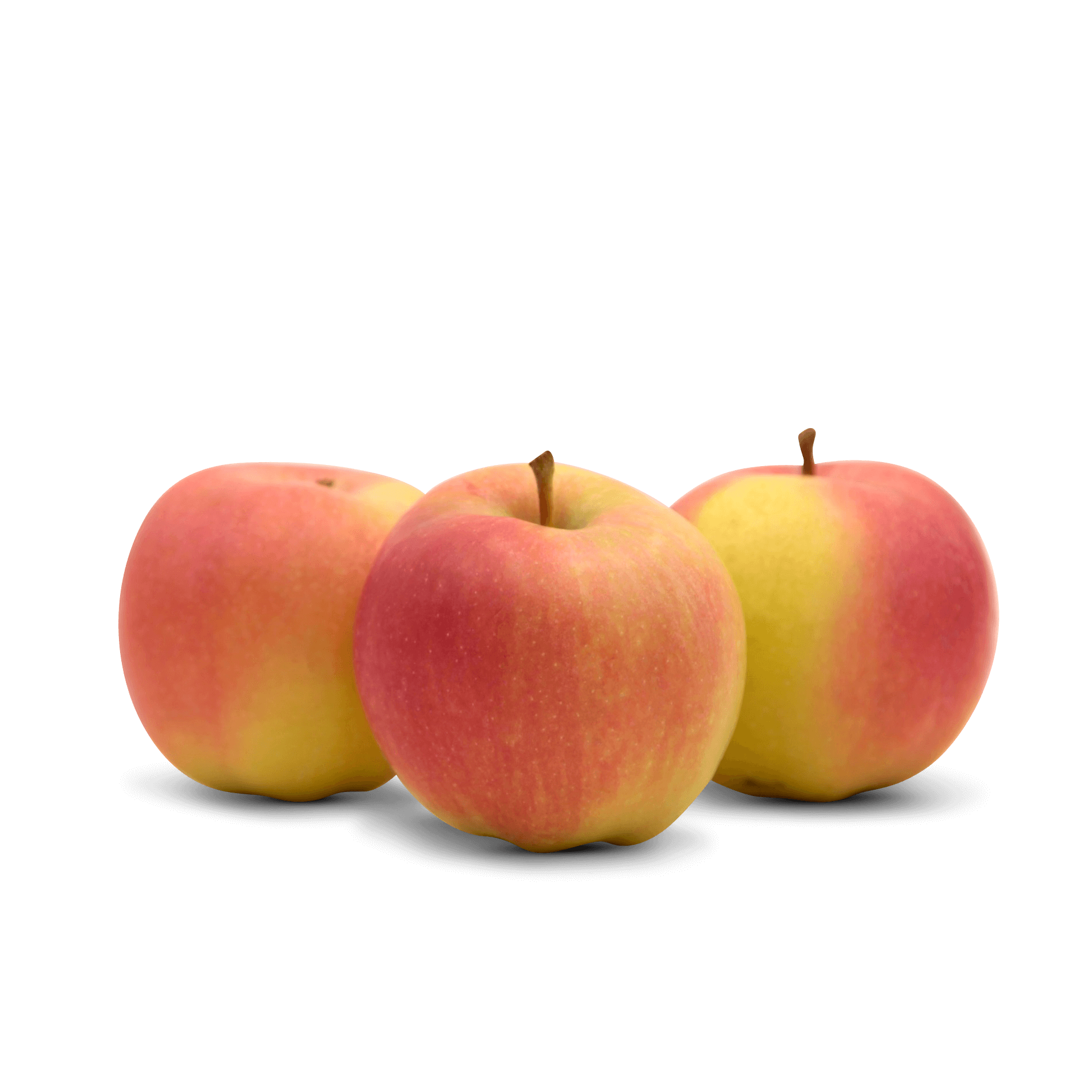 Apfel 'Holsteiner Cox'