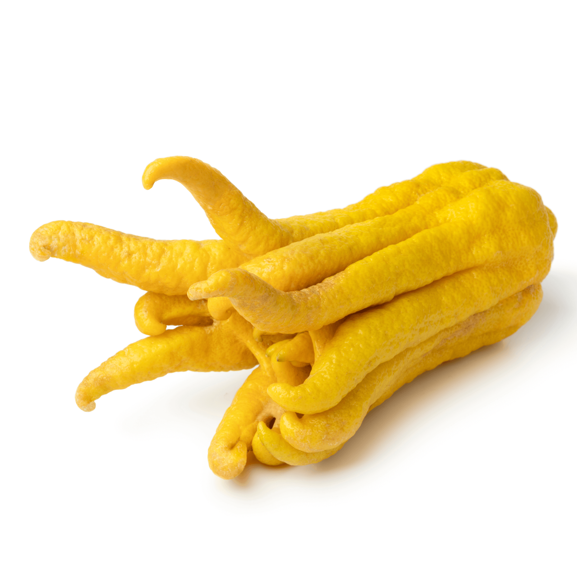 Buddhas Hand