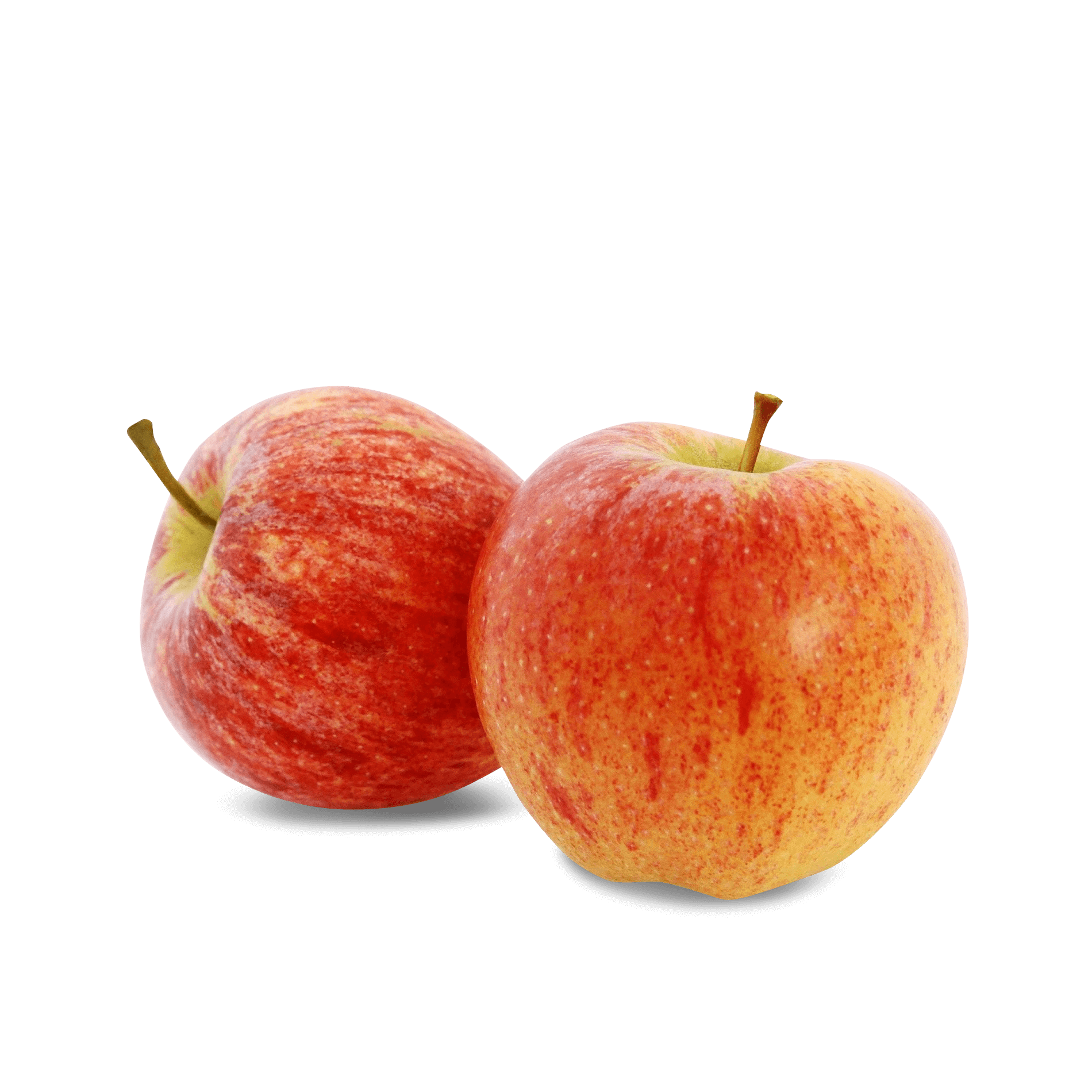Apfel 'Gala'