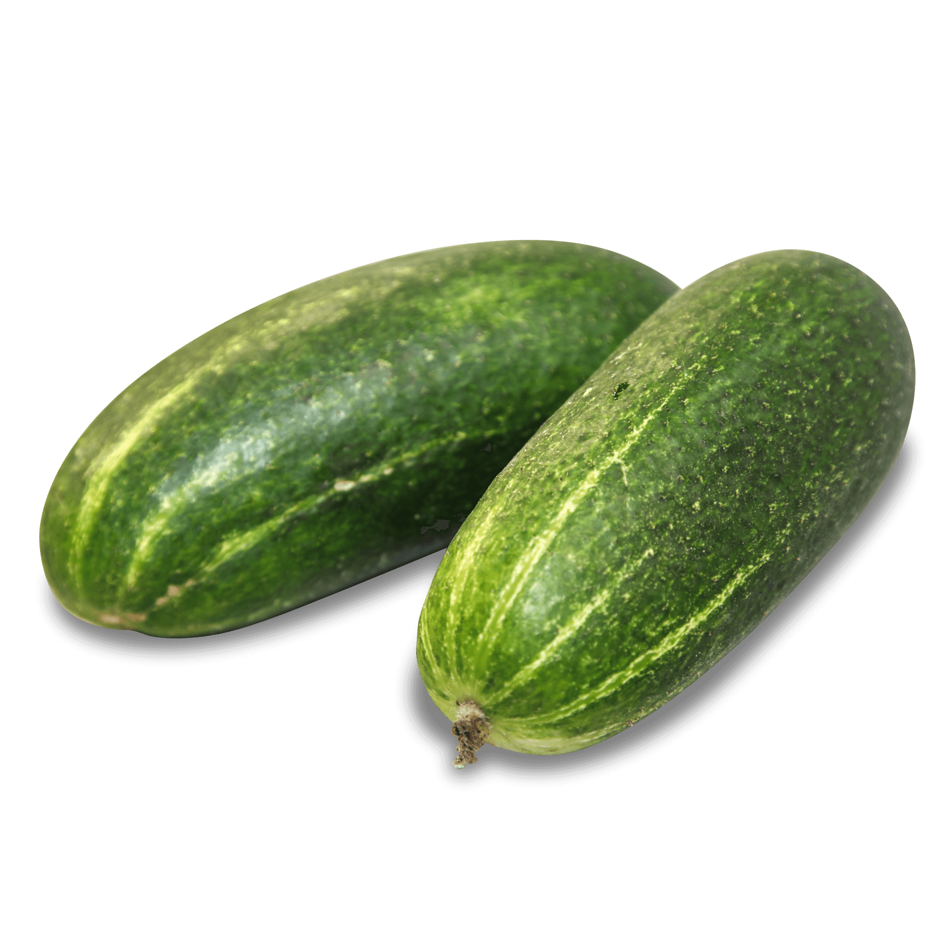 Schmorgurke