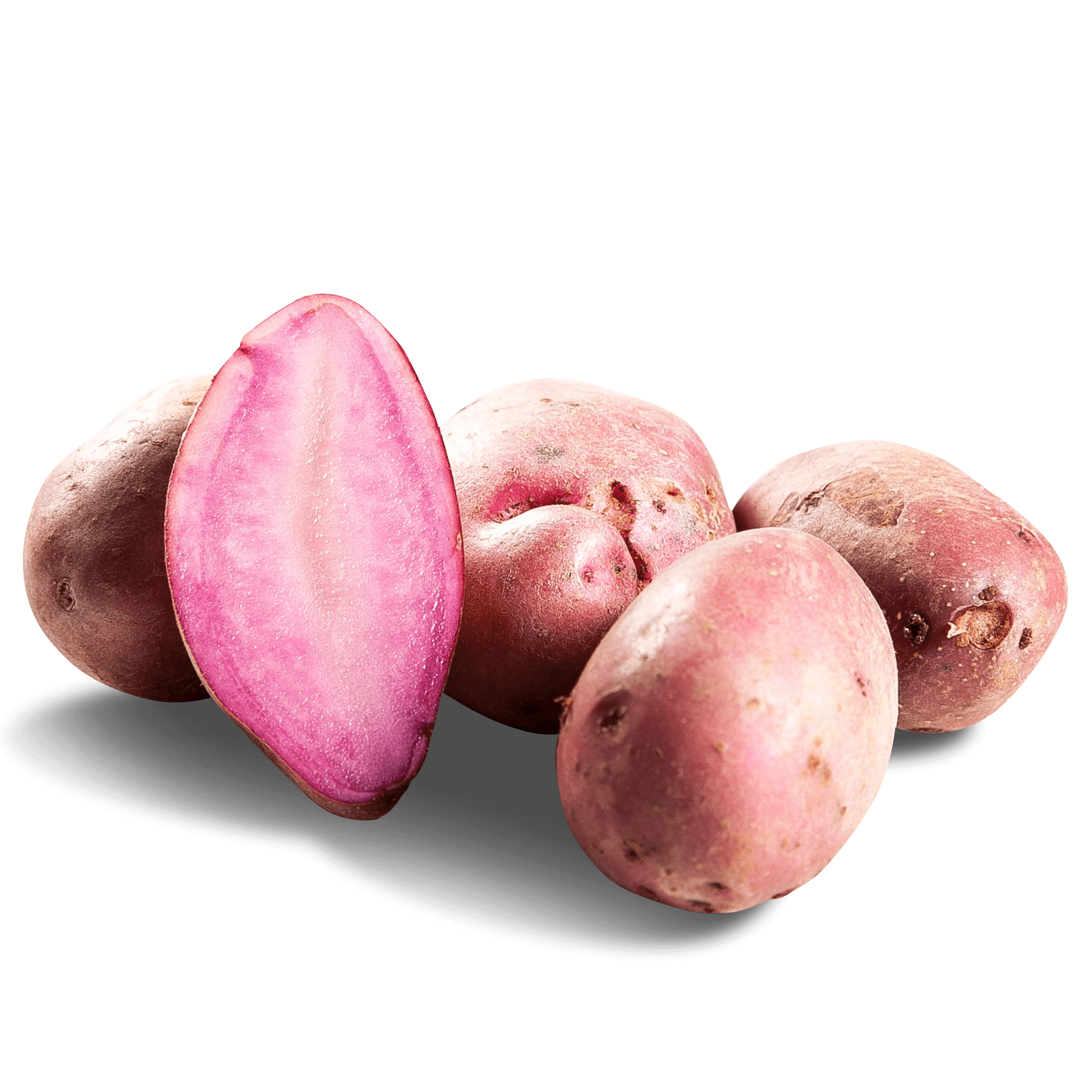 Kartoffel 'Rote Emmalie' (festkochend)