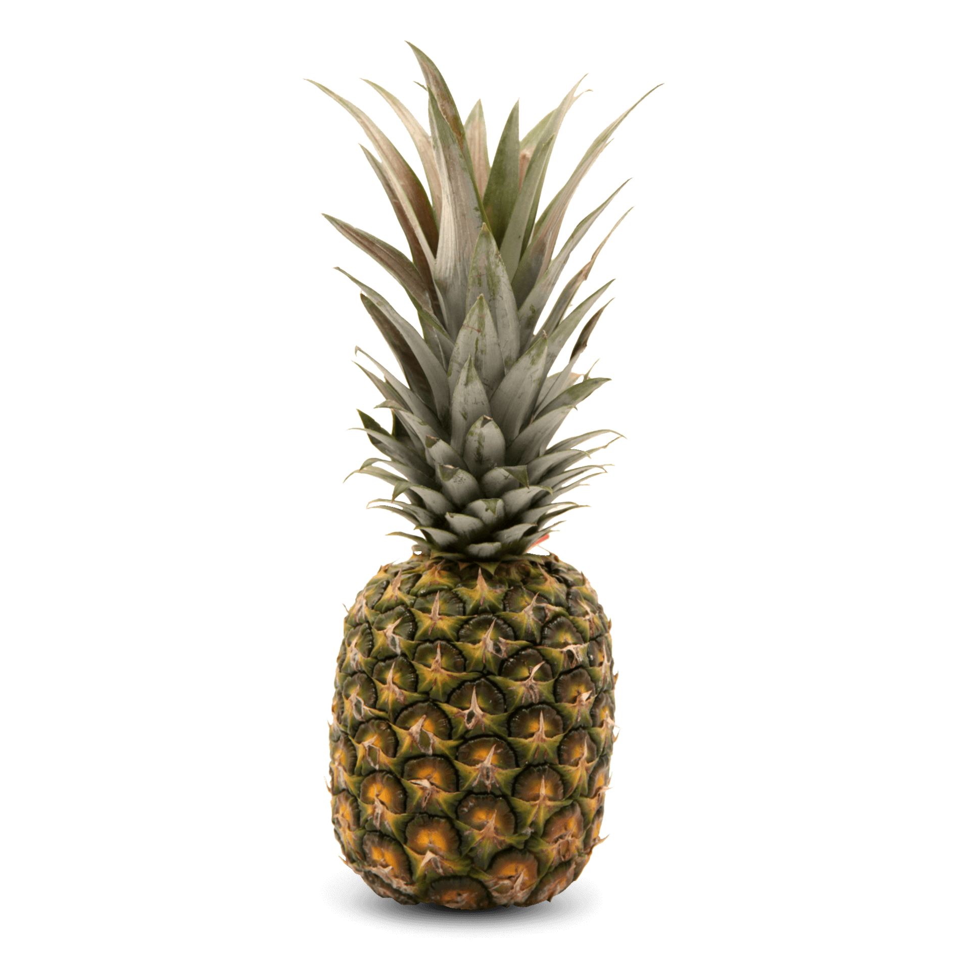 Ananas 'Sweet'